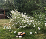 Moonstone & Quartz ~ Vanilla or Peppermint Beeswax Candles